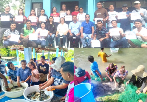 BFAR-7 and OPA conduct hands-on training on Tilapia hatchery and nursery operations